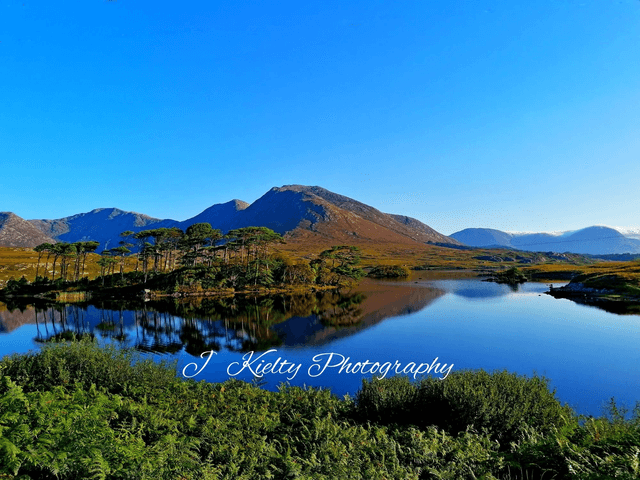 Early mid Morning, Pine Island, Derryclare Lake, Connemara, County Galway. 